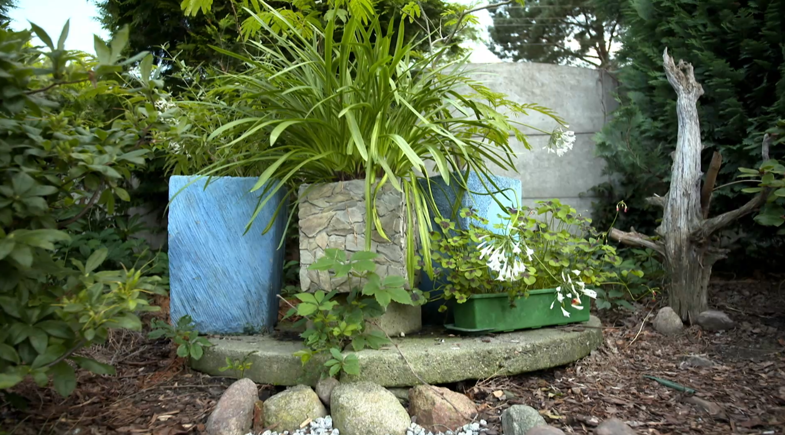 "Nowa Maja w ogrodzie": donice ogrodowe DIY. Stwórz dekoracyjne donice wykorzystując styropian i materiały